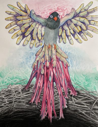 AP Junior Art